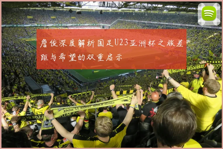 詹俊深度解析国足U23亚洲杯之旅差距与希望的双重启示